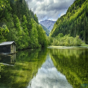 喜欢在背后耍心机的生肖有哪些