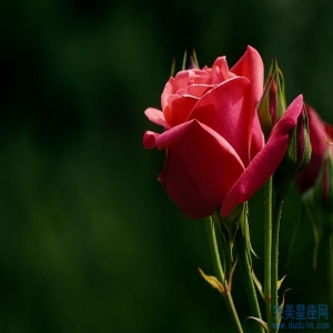 男人犯月会如何 平时要谨言慎行