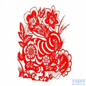 属兔与属狗在事业上适合合作吗性格是否相合