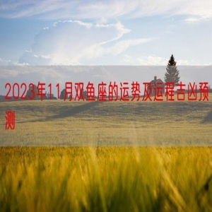 2023年11月双鱼座的运势及运程吉凶预测