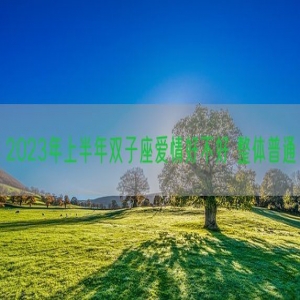 2023年上半年双子座爱情好不好 整体普通