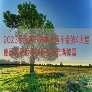 2023年元宵节后事业运不错的4大星座运势及运程分析生活充满惊喜
