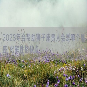 2023年会帮助狮子座贵人会是哪个星座 化解性格缺点