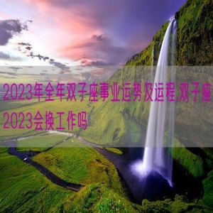 2023年全年双子座事业运势及运程,双子座2023会换工作吗