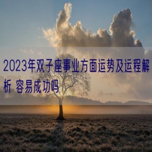 2023年双子座事业方面运势及运程解析 容易成功吗