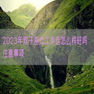 2023年双子座女工作运怎么样旺吗  注意事项