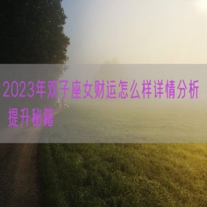 2023年双子座女财运怎么样详情分析  提升秘籍