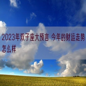 2023年双子座大预言 今年的财运走势怎么样