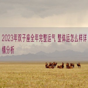 2023年双子座全年完整运气 整体运怎么样详情分析 