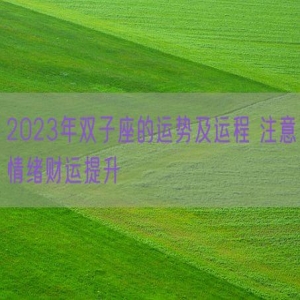 2023年双子座的运势及运程 注意情绪财运提升