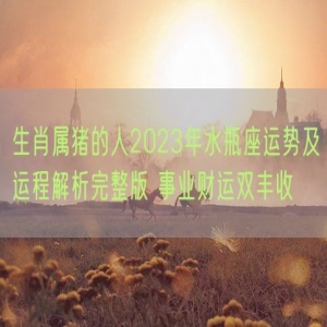 生肖属猪的人2023年水瓶座运势及运程解析完整版 事业财运双丰收