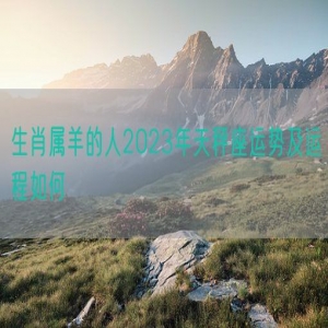 生肖属羊的人2023年天秤座运势及运程如何
