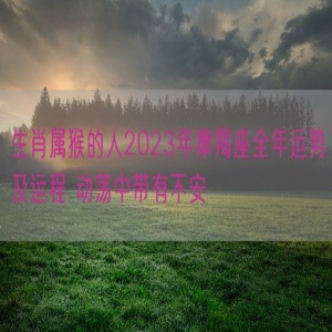 生肖属猴的人2023年摩羯座全年运势及运程 动荡中带有不安