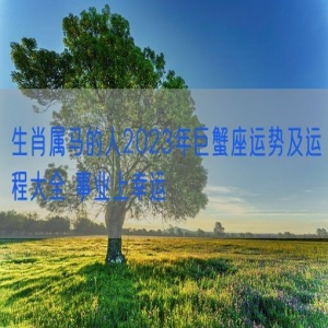 生肖属马的人2023年巨蟹座运势及运程大全 事业上幸运