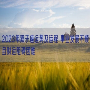 2023年双子座运势及运程 事业发展不顺且财运阻碍困难