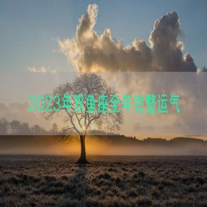 2023年双鱼座全年完整运气