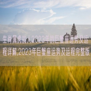生肖属虎的人2023年的巨蟹座运势及运程详解,2023年巨蟹座运势及运程完整版