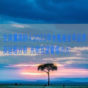 生肖属鸡的人2023年水瓶座全年运势及运程分析 光明在望警惕小人