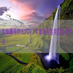 生肖属马的人2023年摩羯座运势及运程大全 