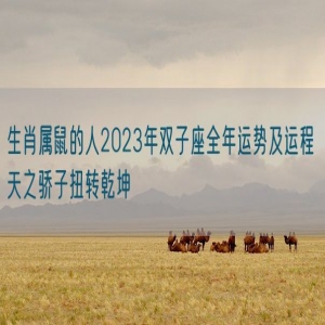 生肖属鼠的人2023年双子座全年运势及运程 天之骄子扭转乾坤