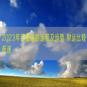 2023年巨蟹座的运程及运势 财运比较低迷