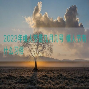 2023年情人节是几月几号 情人节有什么习俗