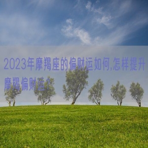 2023年摩羯座的偏财运如何,怎样提升摩羯偏财运？