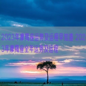 2023年摩羯座运势及运程早知道 2023年摩羯座全年运势及运程