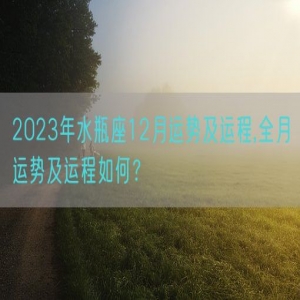 2023年水瓶座12月运势及运程,全月运势及运程如何？