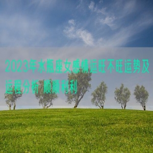 2023年水瓶座女感情运旺不旺运势及运程分析 顺顺利利