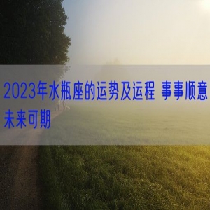 2023年水瓶座的运势及运程 事事顺意未来可期