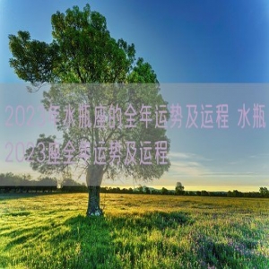 2023年水瓶座的全年运势及运程 水瓶2023座全年运势及运程