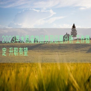 2023年水瓶座的运势及运程分析 工作稳定 升职有望