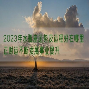 2023年水瓶座运势及运程好在哪里 正财运不断发展事业提升
