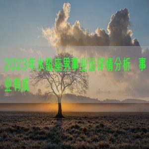 2023年水瓶座男事业运详情分析  事业有成