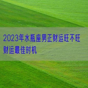 2023年水瓶座男正财运旺不旺  财运最佳时机