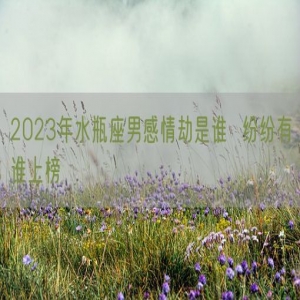 2023年水瓶座男感情劫是谁  纷纷有谁上榜
