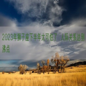 2023年狮子座下半年太可怕了  人际关系达到沸点