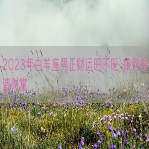 2023年白羊座男正财运旺不旺 如何创造财富