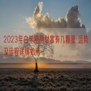 2023年白羊座男财富有几颗星 运势及运程详情如何