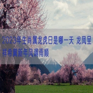 2023年生肖属龙虎日是哪一天 龙凤呈祥希冀新年风调雨顺