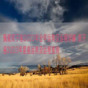 佩妮双子座2023年全年运势及运程详解 双子座2023年星座运势及运程查询