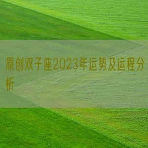 原创双子座2023年运势及运程分析