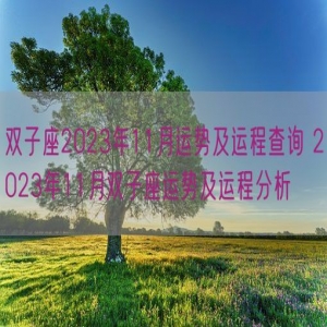 双子座2023年11月运势及运程查询 2023年11月双子座运势及运程分析