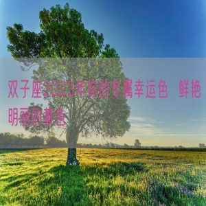 双子座2023年你的专属幸运色  鲜艳明丽的黄色