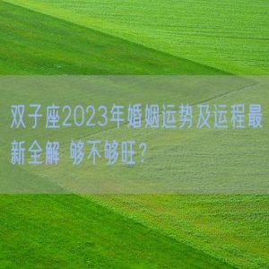 双子座2023年婚姻运势及运程最新全解 够不够旺？