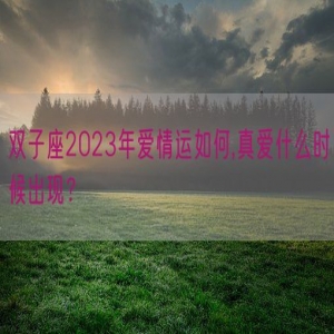 双子座2023年爱情运如何,真爱什么时候出现？