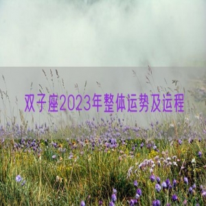 双子座2023年整体运势及运程