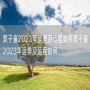 双子座2023年运势及运程如何双子座2023年运势及运程如何
