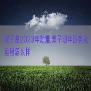 双子座2023年劫难,双子明年运势及运程怎么样
